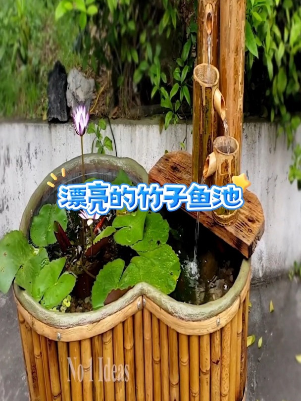 教你用竹子来制作漂亮的竹子鱼缸,简单又漂亮,大自然生态