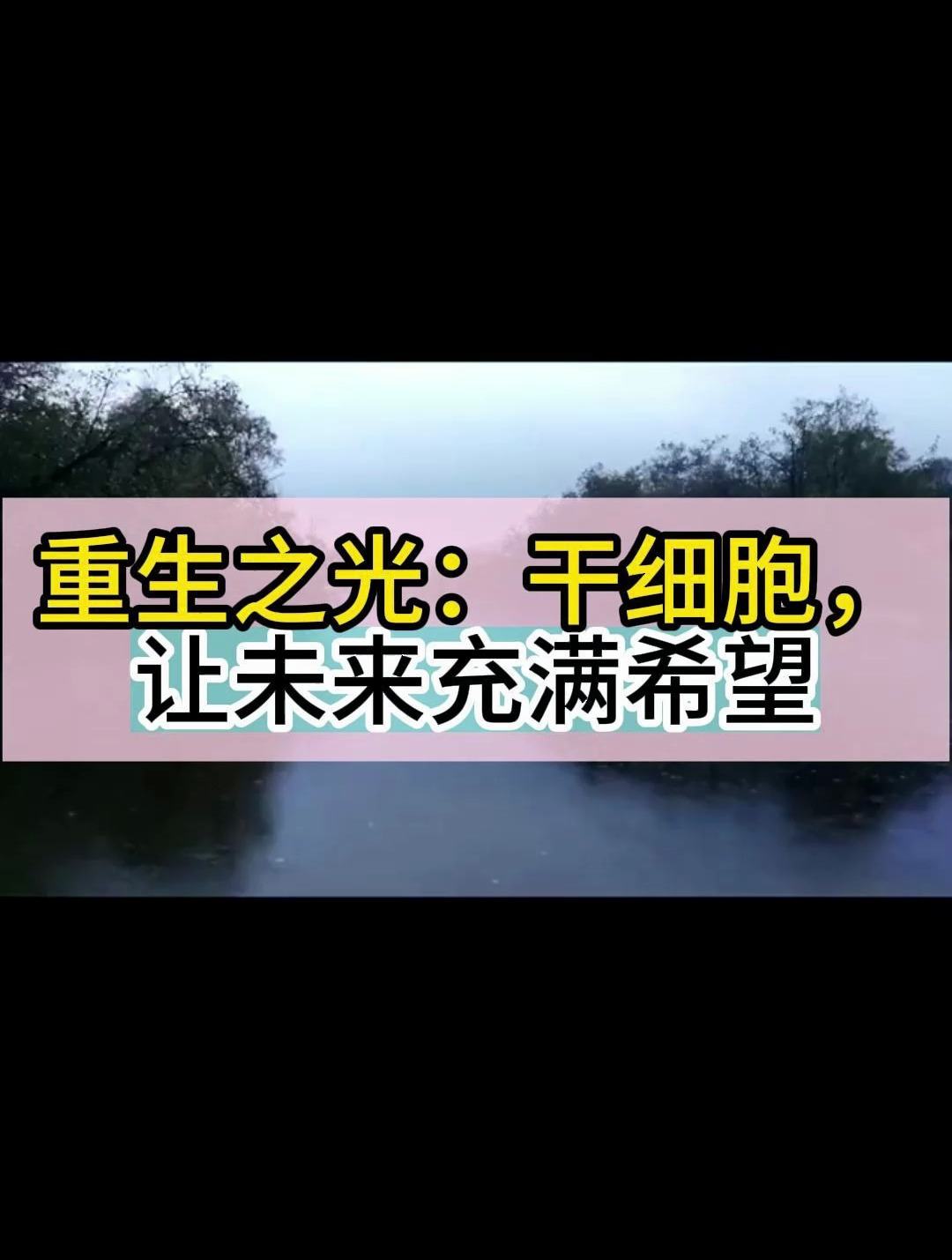 重生之光:干细胞,让未来充满希望