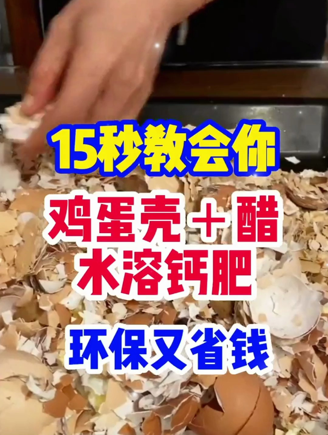 “鸡蛋壳”可真是个宝,这样处理下,有效解决植物徒长、落果问题