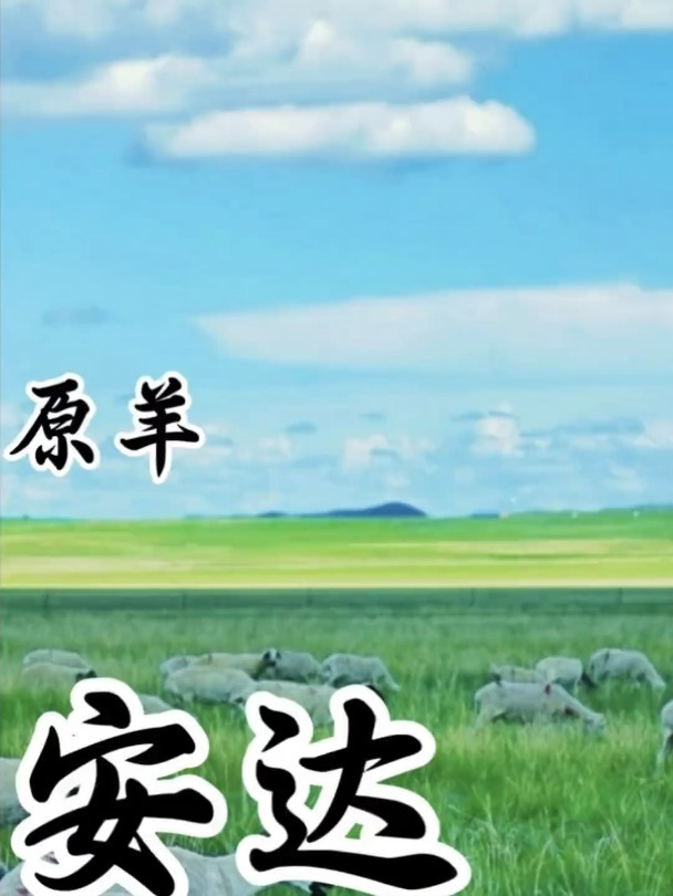 源头好!肉才好!锡林郭勒羊!溯源之旅开启!