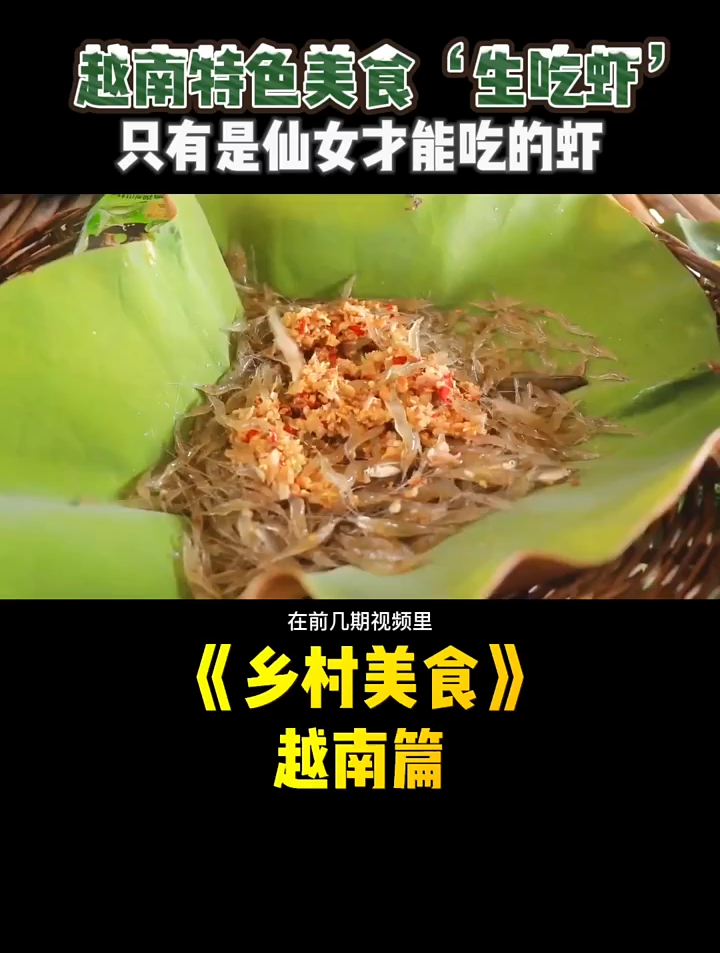 越南特色美食生吃虾,生吃刺身界的天花板,虾的名字叫作仙女虾