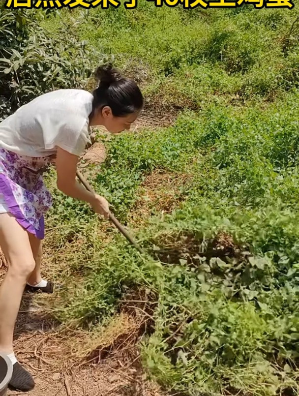 农家散养土鸡蛋正宗谷物蛋