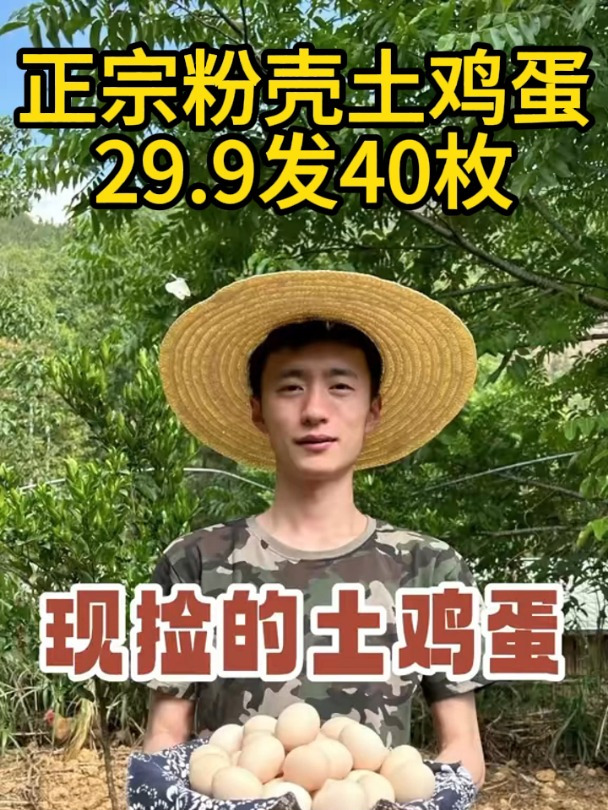农家散养土鸡蛋正宗谷物蛋