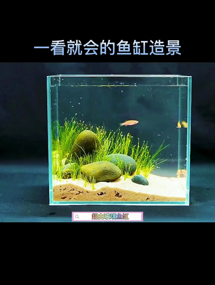 简单得不能再简单的鱼缸造景