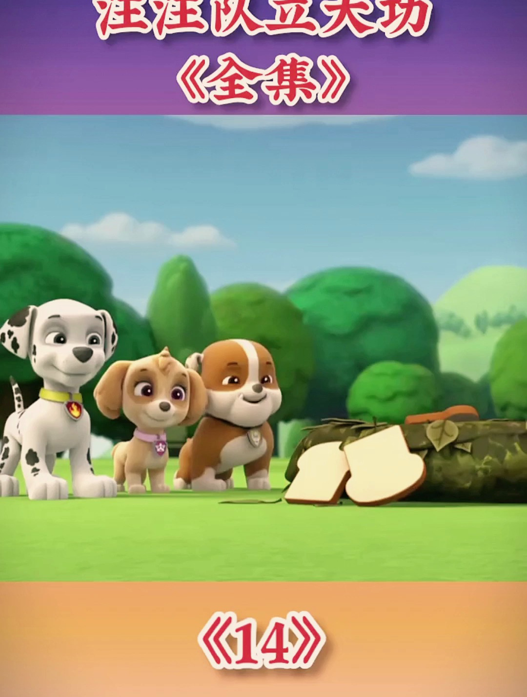 第14集:帮小鸡找妈妈