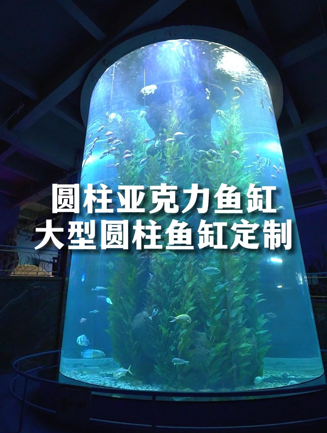 圆柱形亚克力鱼缸,让空间焕发生命力