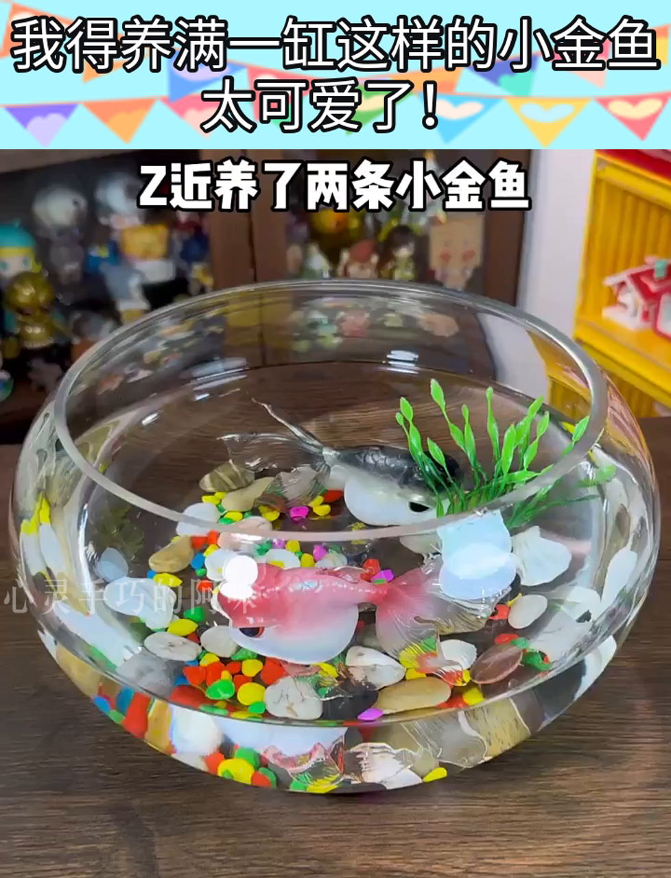 我得养满一缸这样的小金鱼,太可爱了!