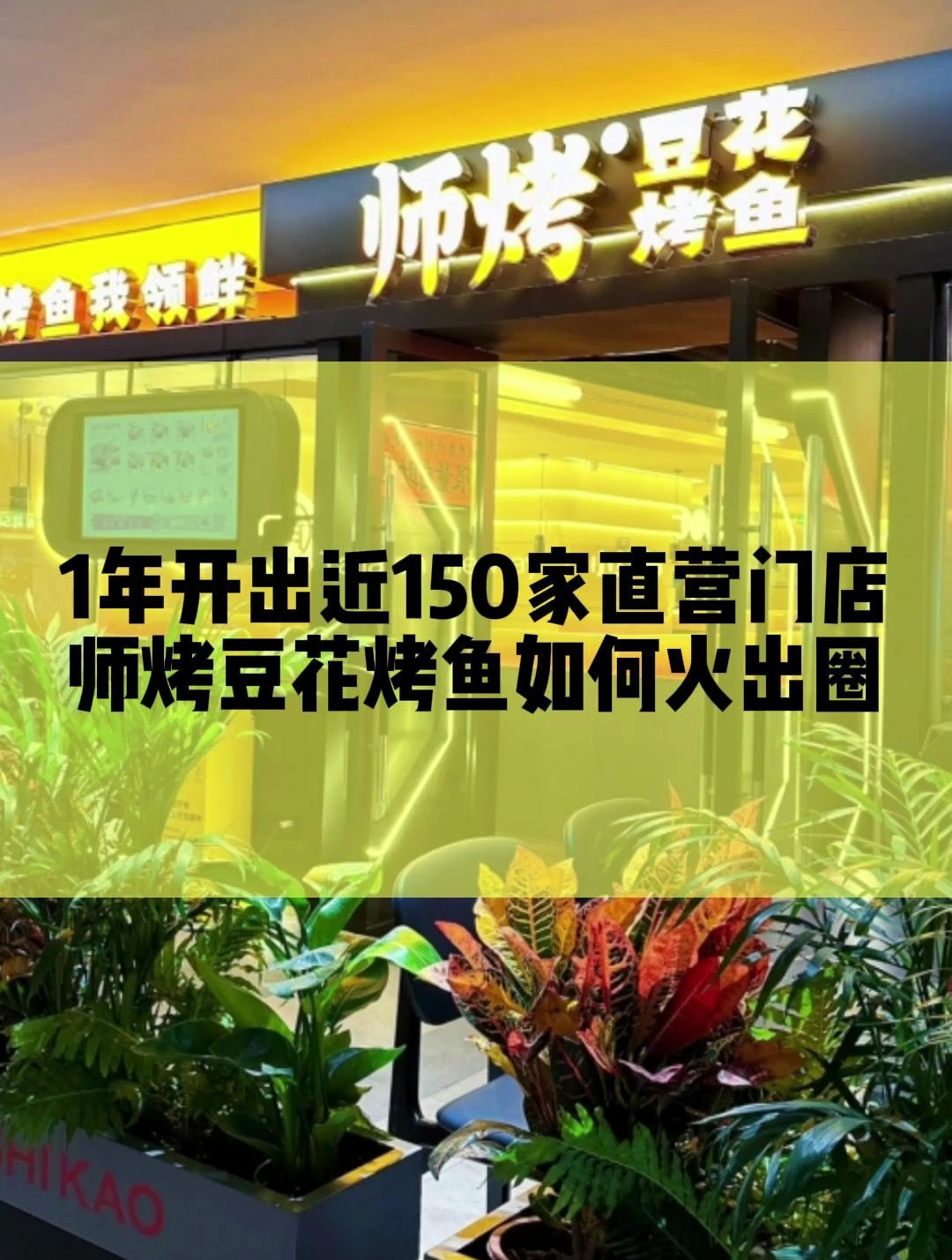 1年开出近150家直营店 师烤豆花烤鱼如何火爆出圈