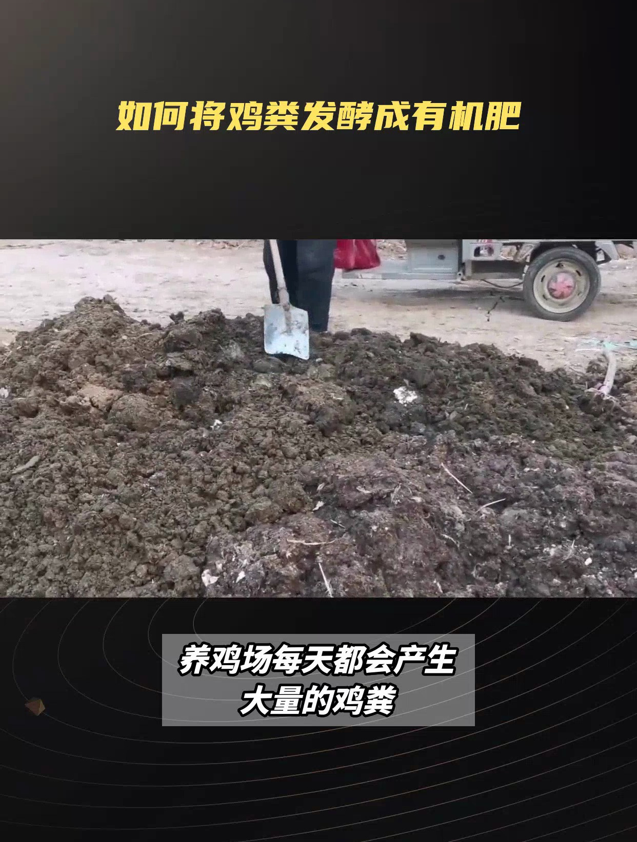 鸡粪如何发酵有机肥,从鸡粪到有机肥料,打造绿色农业的秘密武器