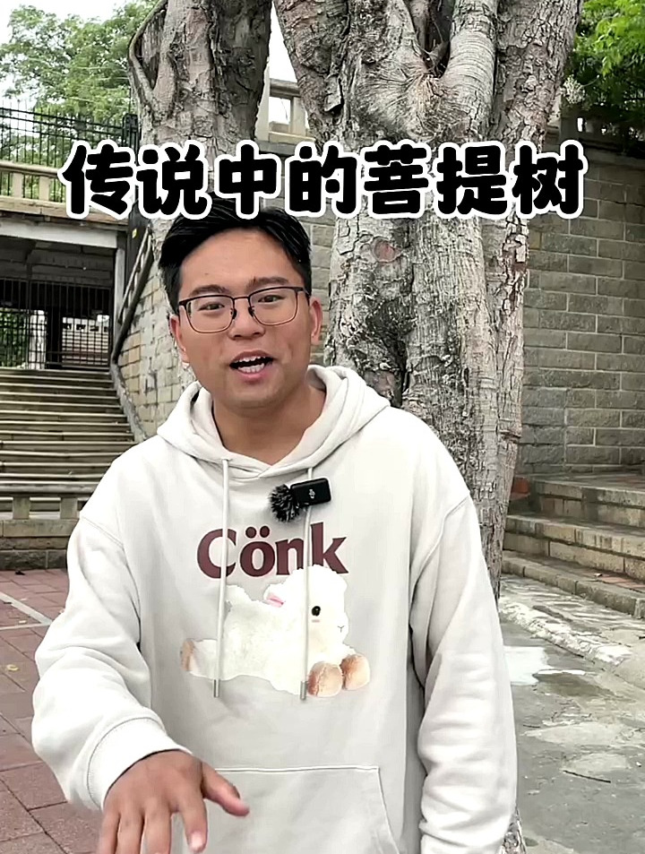 原来传说中的菩提树竟然长这样太神奇了吧