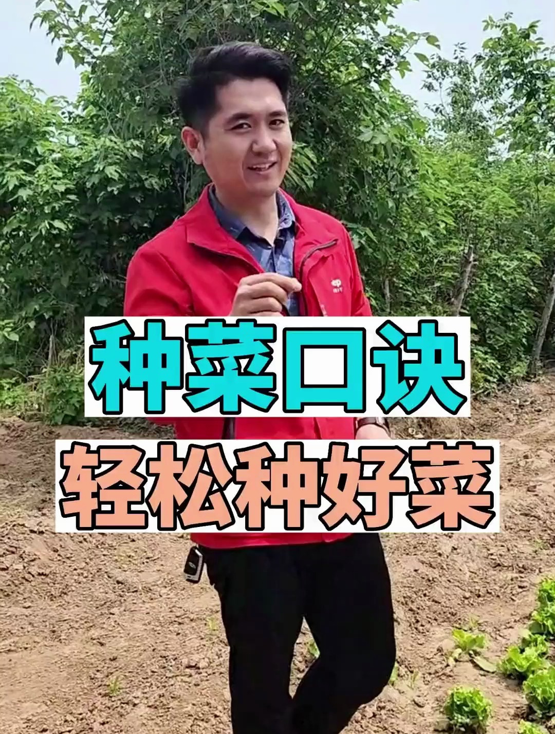 有了这个种菜口诀,轻松种好菜