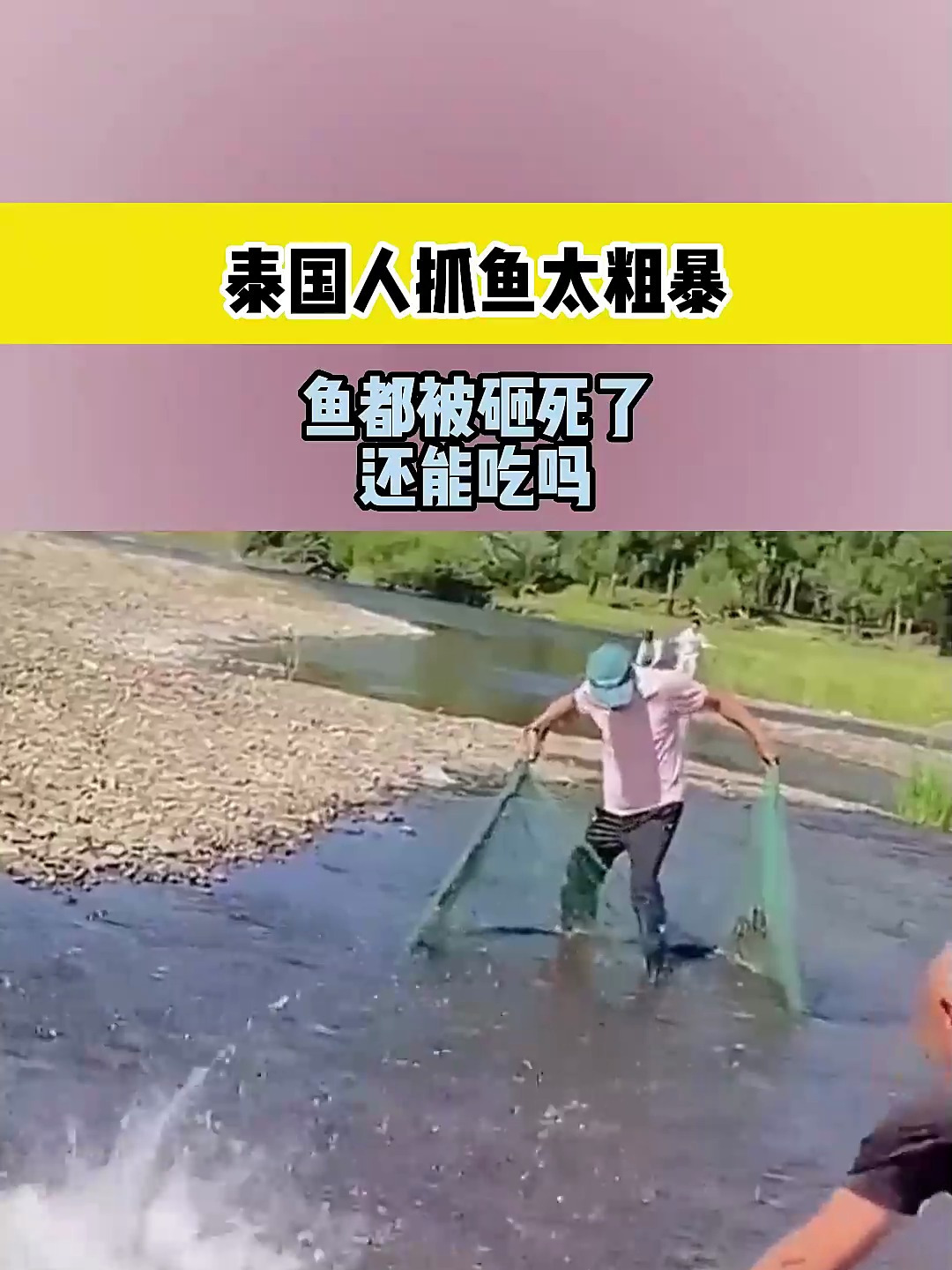 泰国人抓鱼太粗暴,鱼都被砸死了,还能吃吗?
