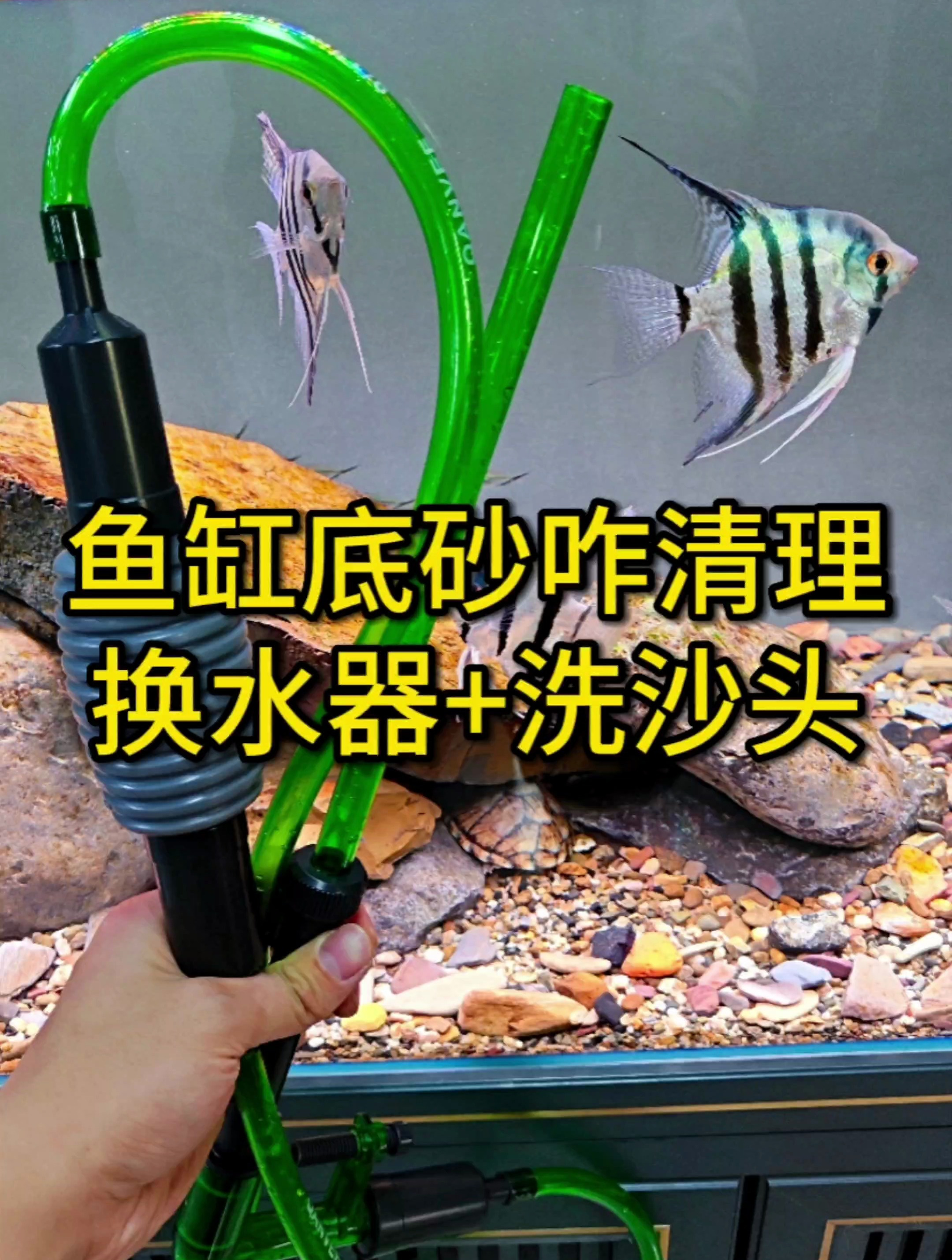 鱼缸底砂中粪便怎么清理?换水器加洗沙头帮你解决
