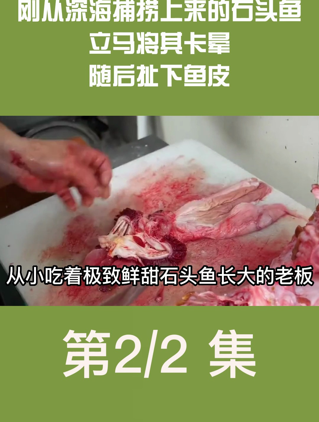 刚从深海捕捞上来的石头鱼,立马将其卡晕,随后扯下鱼皮