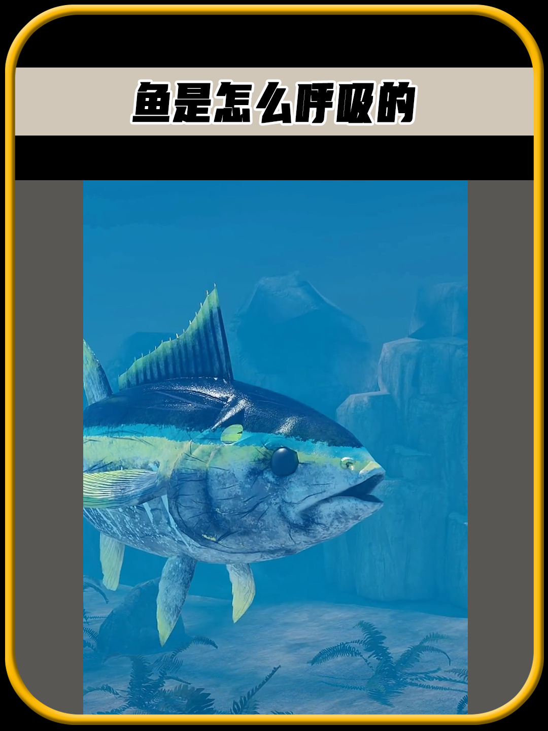 人在水里是无法呼吸的,那么鱼在水下,是如何呼吸的呢