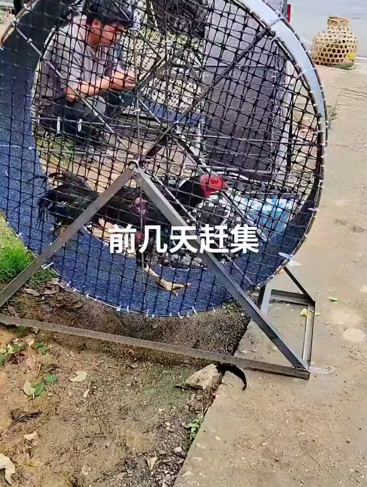 给自己的爱将也制作一个跑步机吧