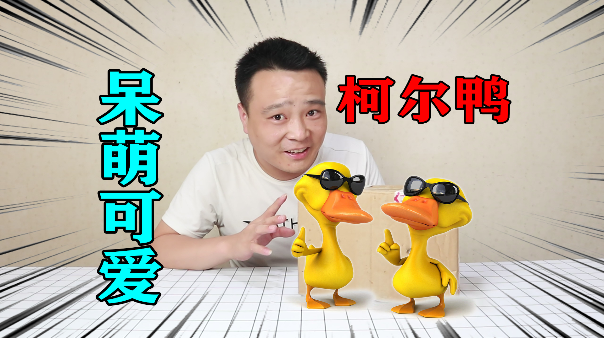 小浪哥80元开箱两只可爱的“柯尔鸭宠物”这次鸭子开箱会翻车吗?