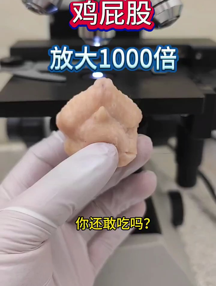 显微镜下的世界,鸡屁股放大1000倍,能吃吗?