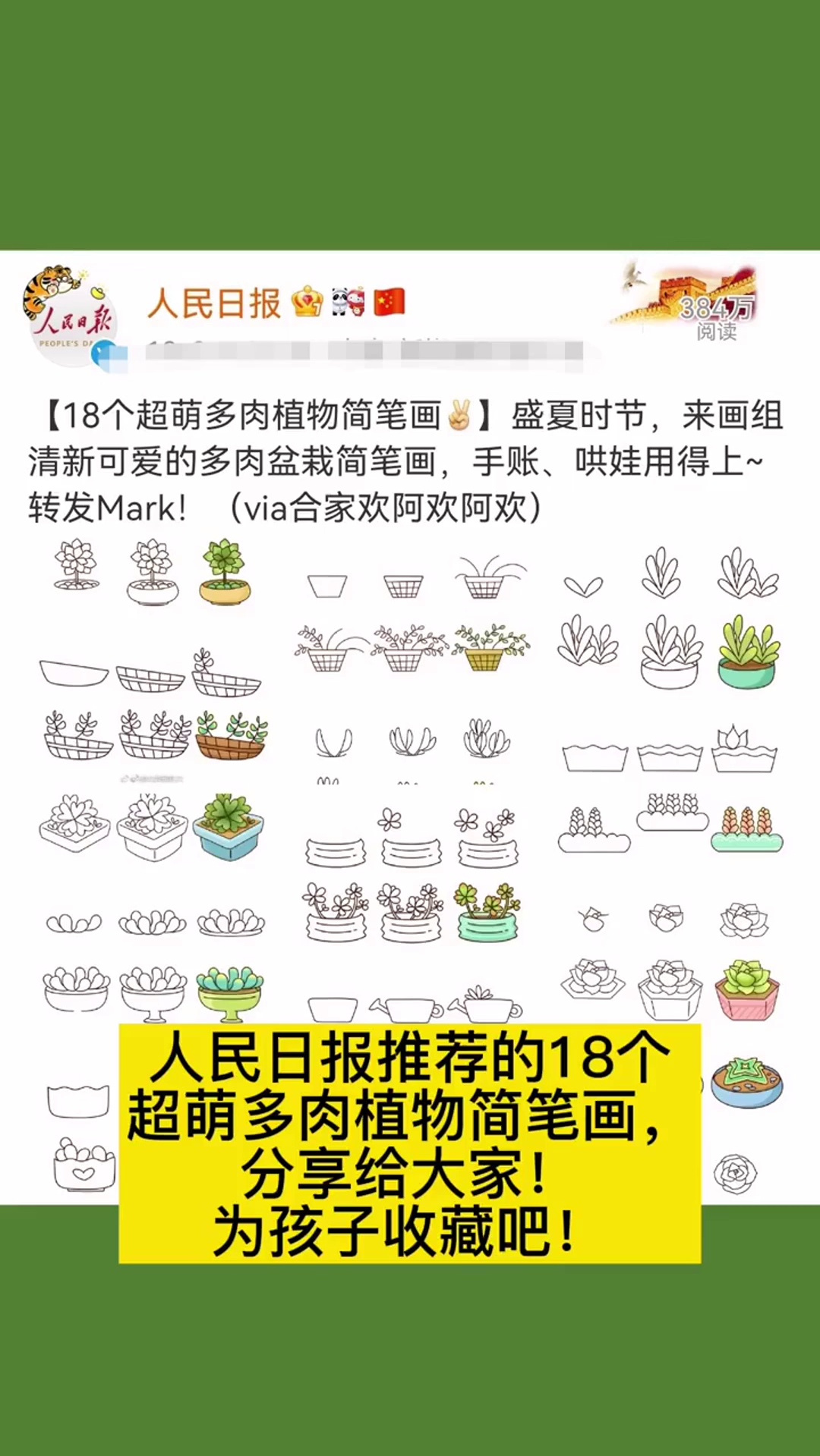 人民日报推荐的18个多肉简笔画,为孩子收藏起来!简笔画