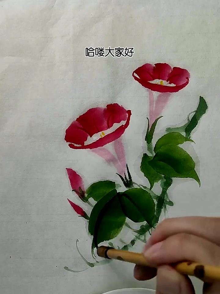 国画牵牛花详细教程