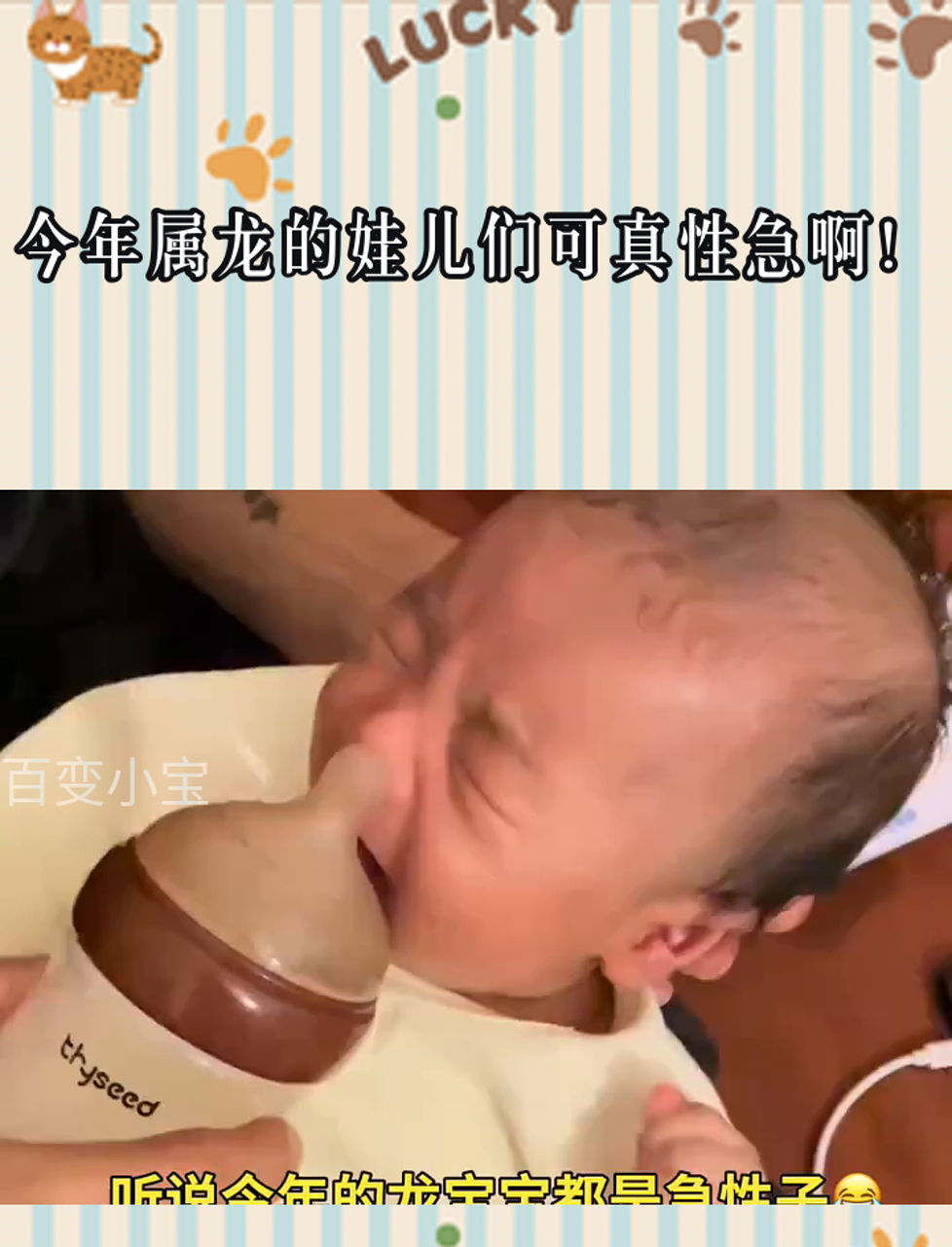 今年属龙的娃儿们可真性急啊!
