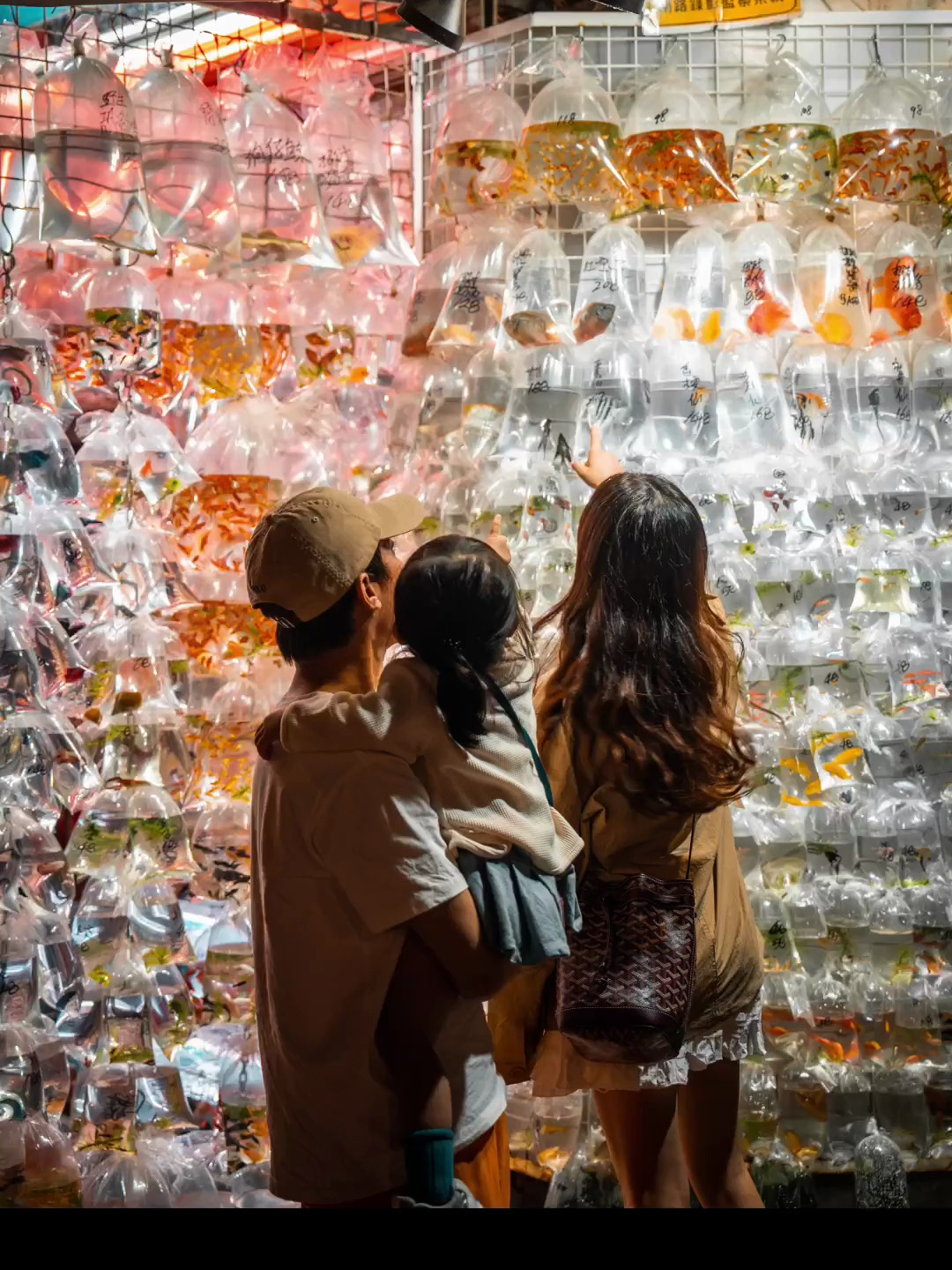 「在大袋子里的人嘲笑小袋子里的金鱼」