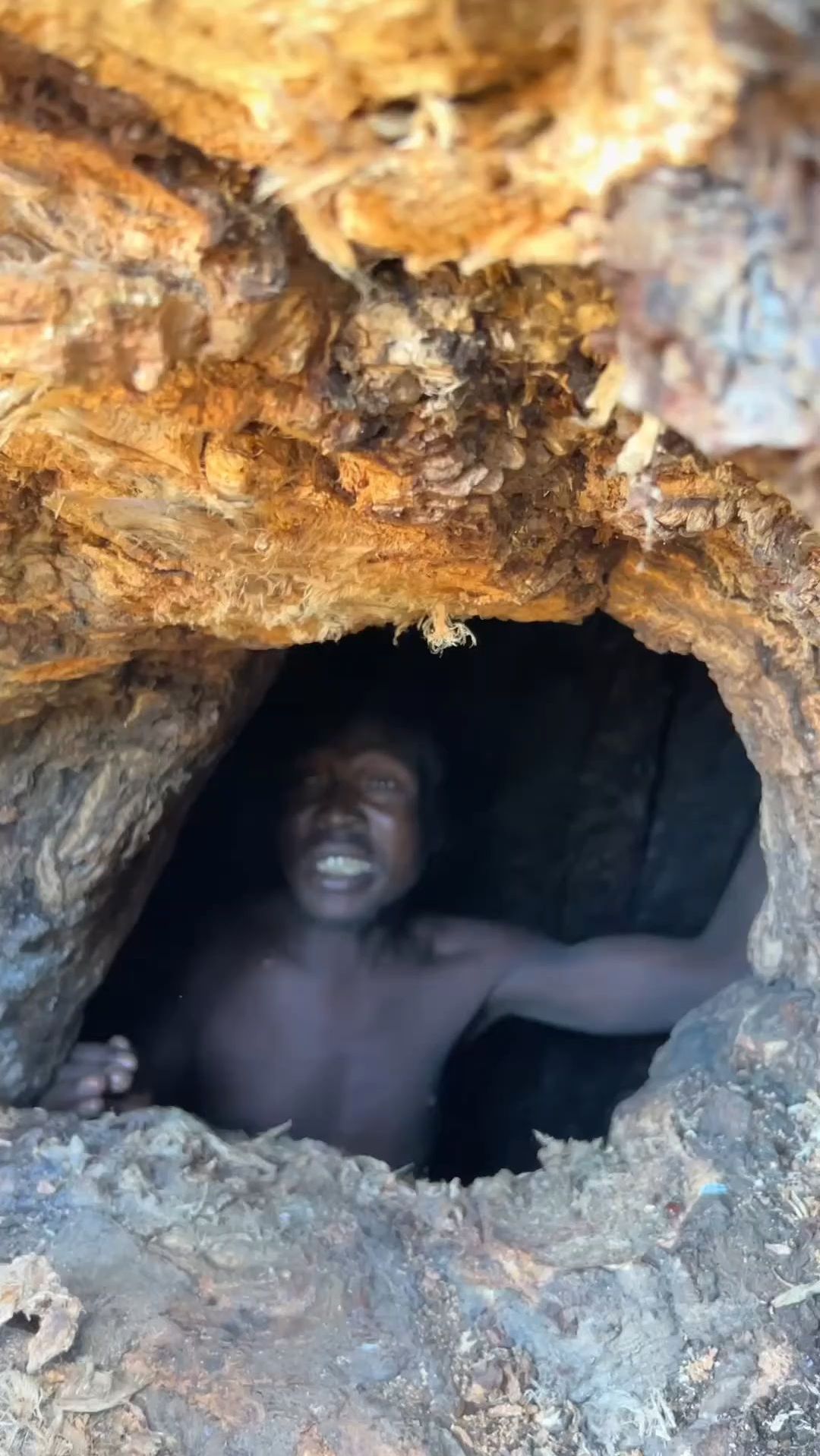 他被老婆关进猴面包树里,更过分的是加了把锁