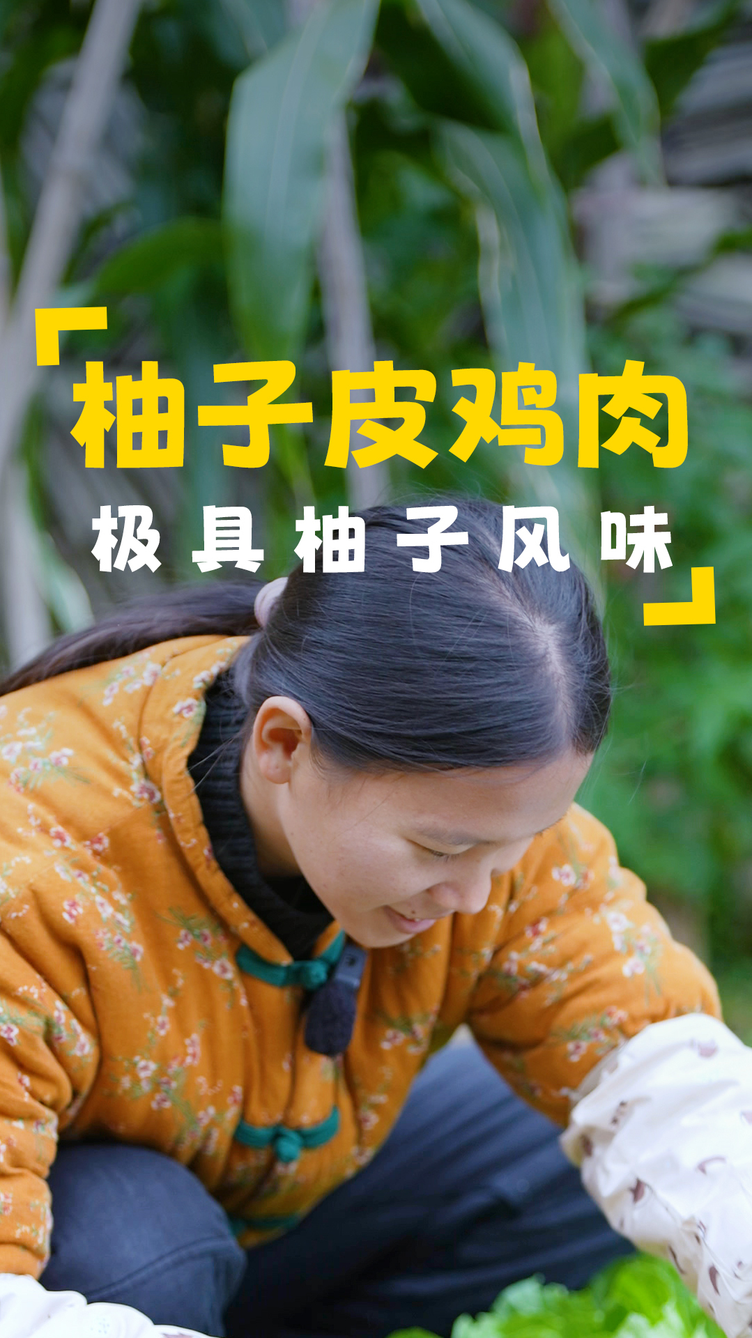 捆一下白菜,让它们更好生长,晚上做一道柚子皮炒鸡肉,简单下饭