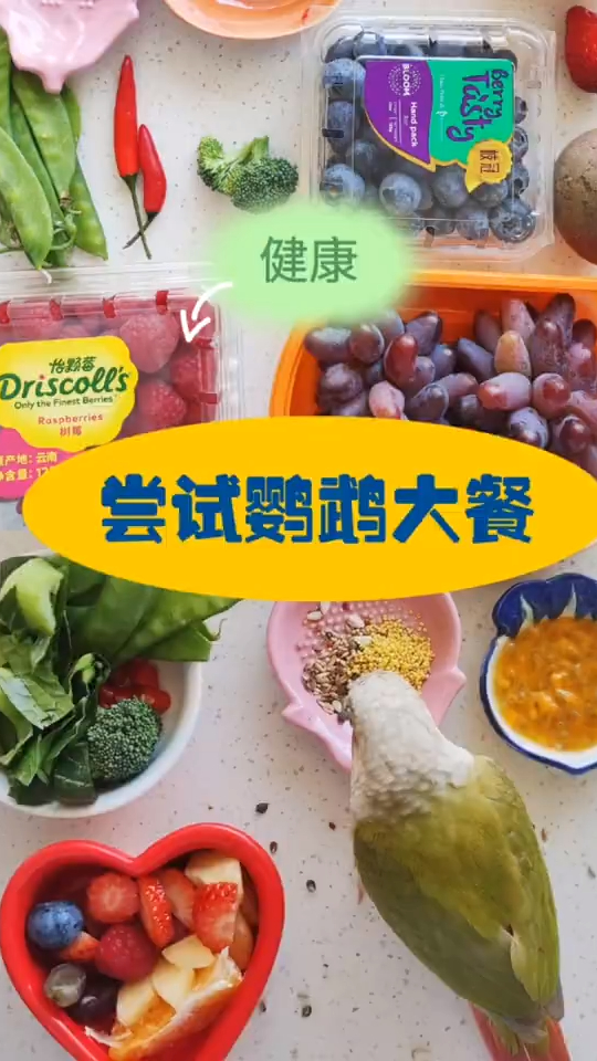 鹦鹉健康大餐尝试看到别的小鸡都吃的健健康康的