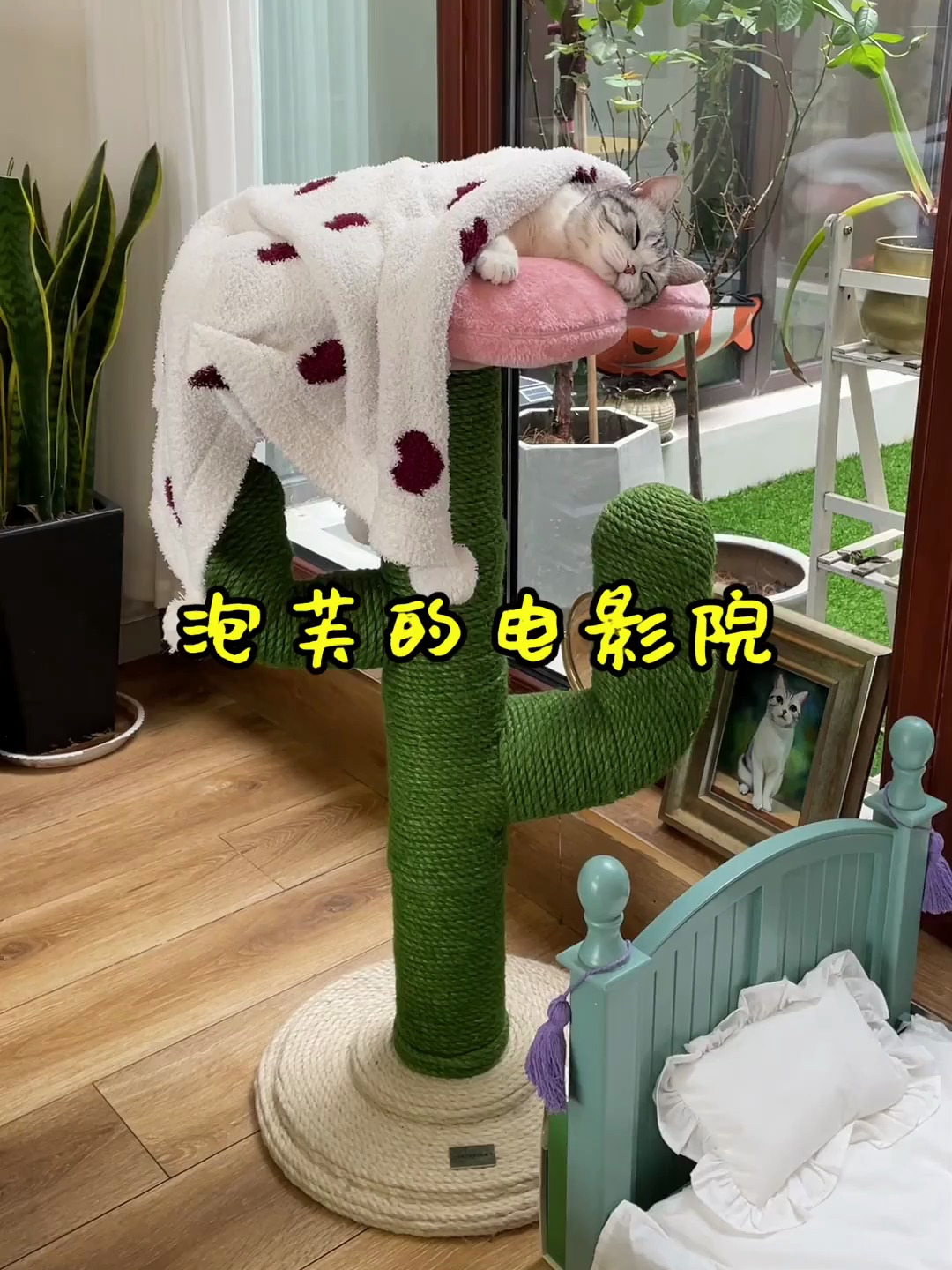 泡芙也拥有了小电影院,冻干爆米花可乐走起