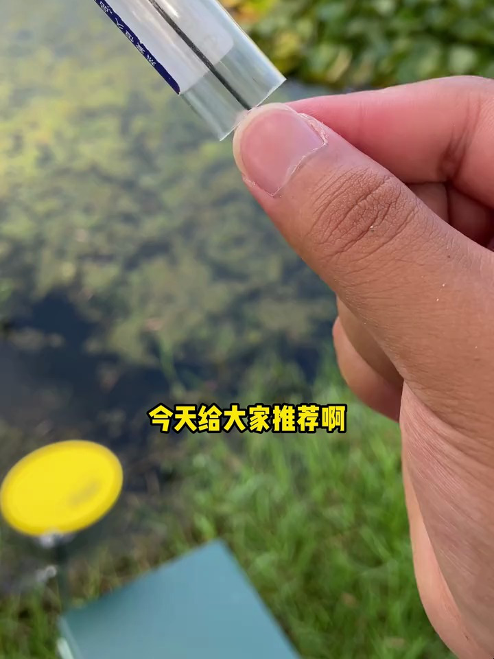 钓鱼新手小白该如何选择购买浮漂?