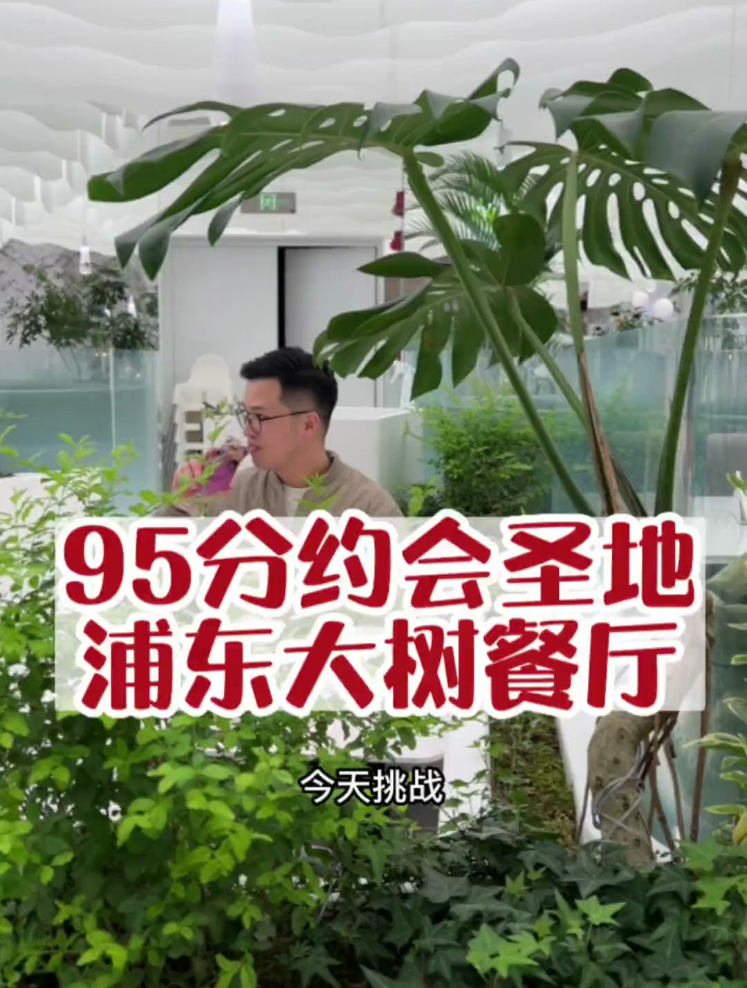在仙界约会的感觉,大树餐厅在浦东开新店了