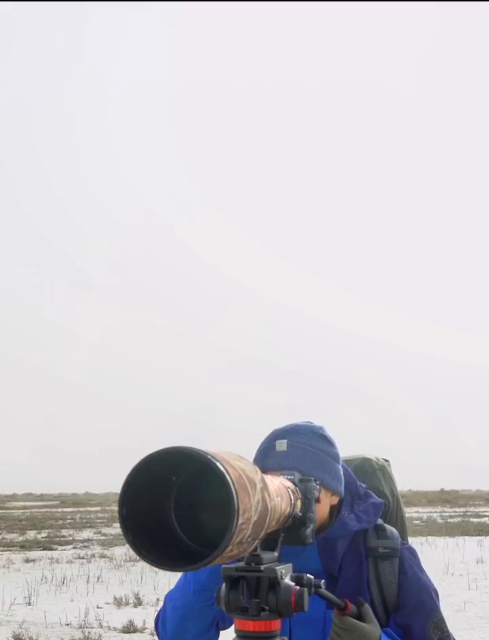 俩红毛鸭好像在聊天,也可能是在享受冬日里的暖阳它们在微风中溜达找食,感觉在讲一个暖心的故事