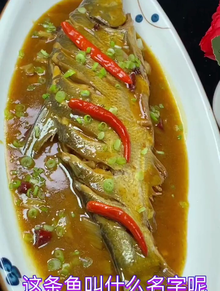 这条鱼叫什么名字呢