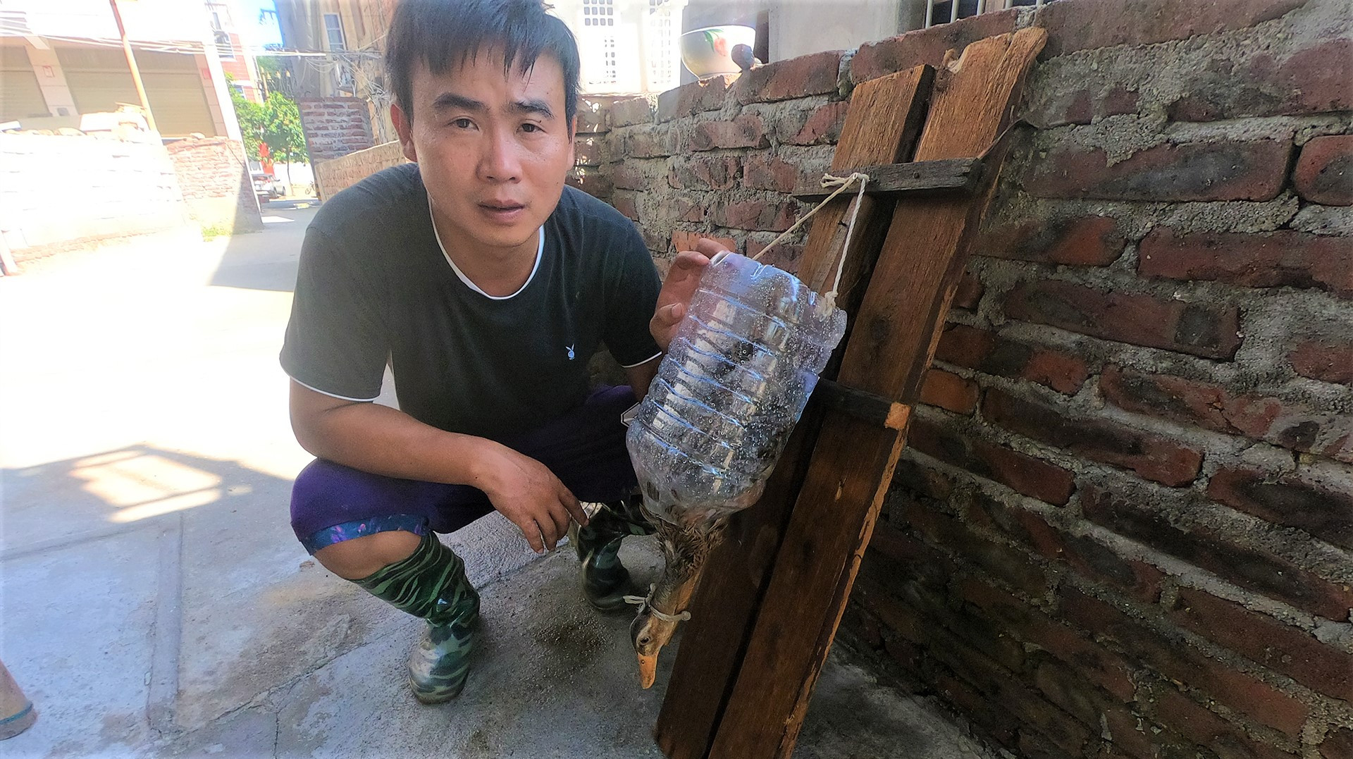 农村小伙自制杀鸡鸭鹅神器,网友看了都想赶紧试一试,太厉害了