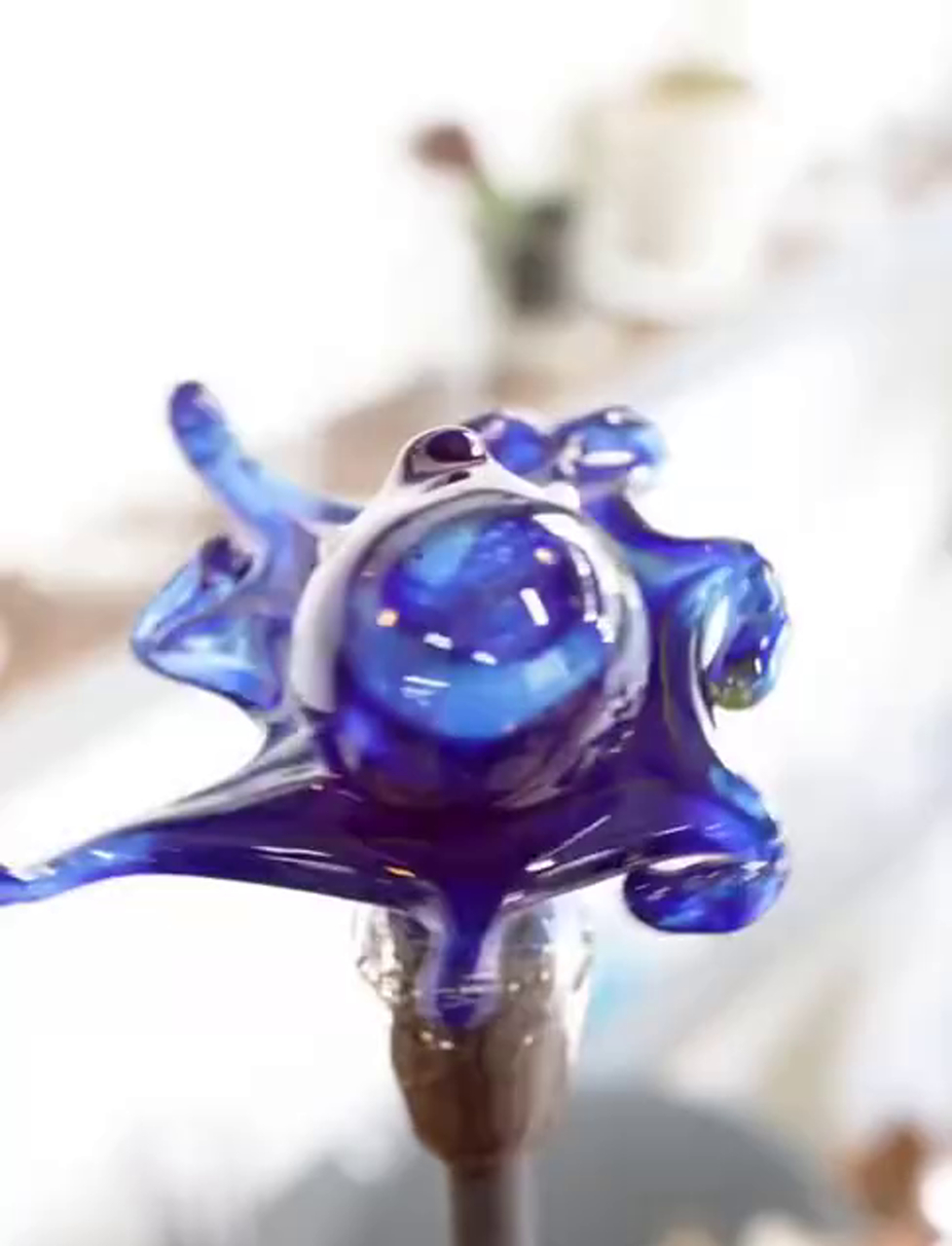 玻璃章鱼