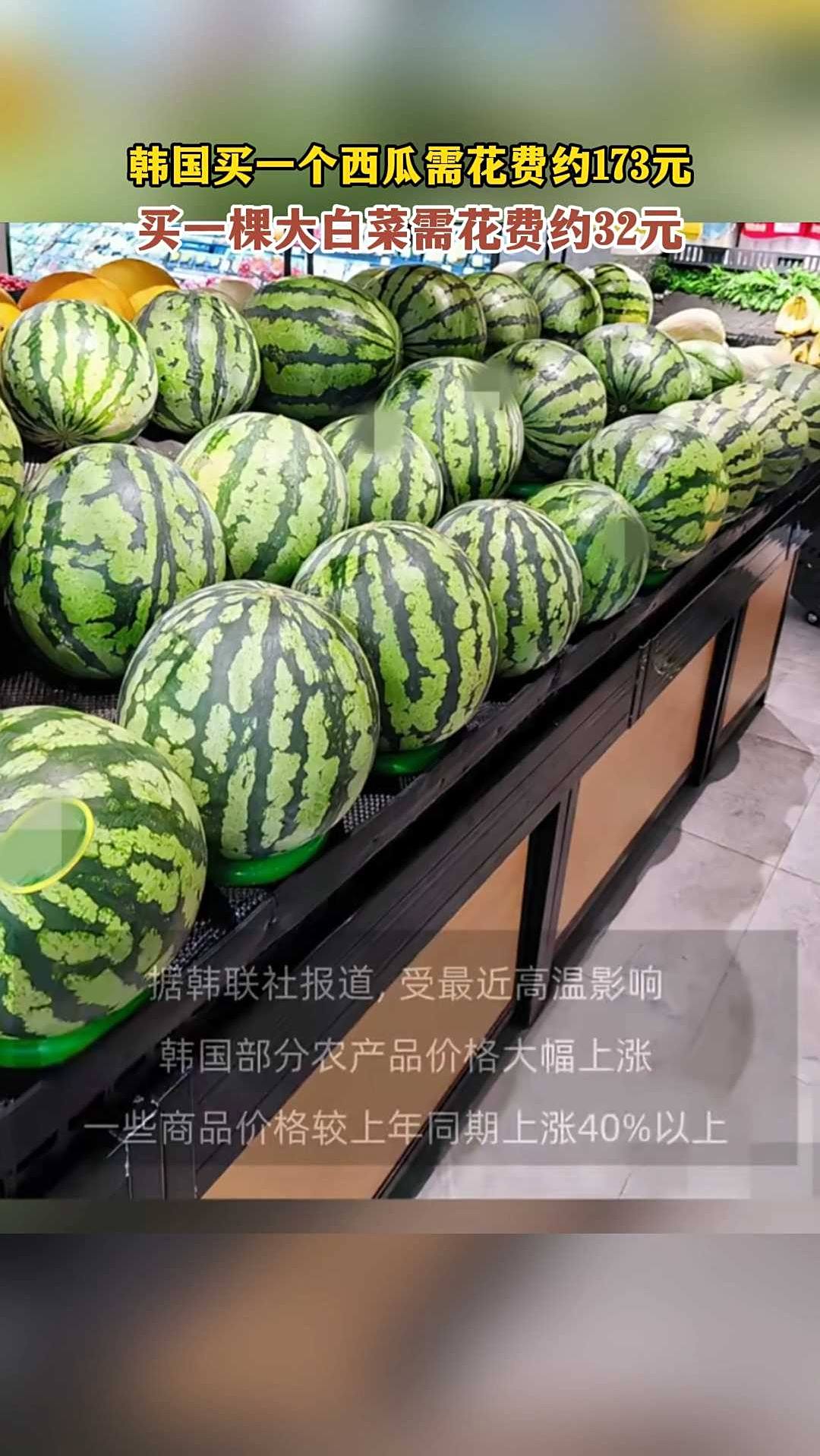 韩国买一个西瓜需花费约173元,买一棵大白菜需花费约32元