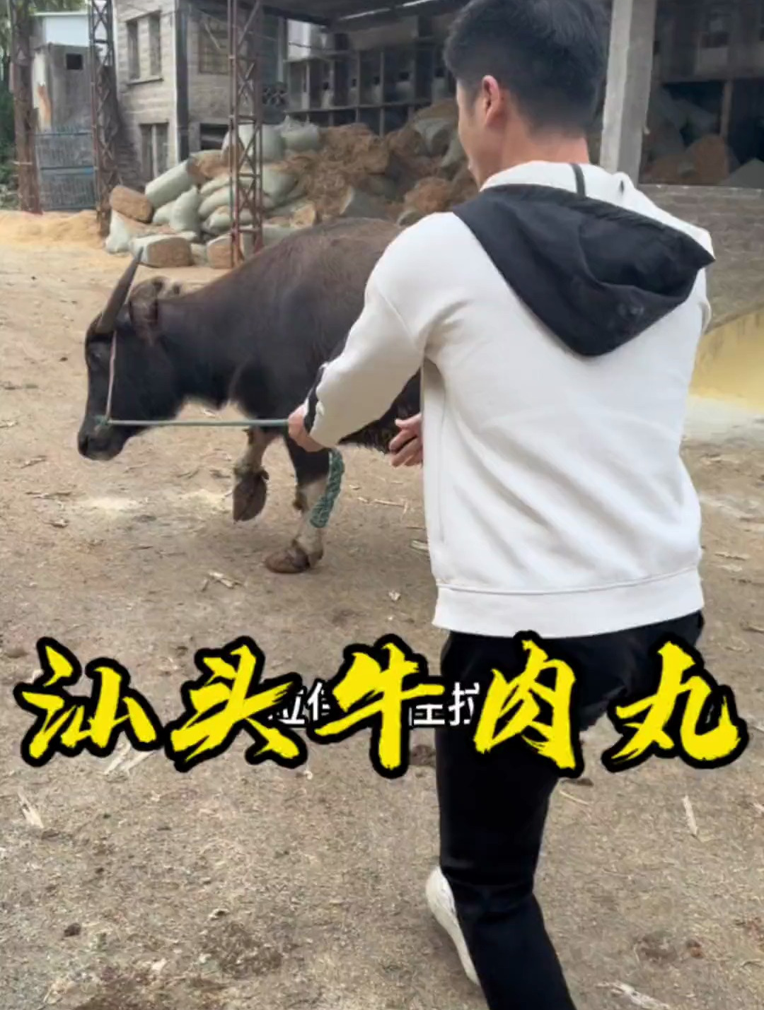 正宗汕头牛肉丸,教科书级做法。牛肉丸 菜市场 牛肉