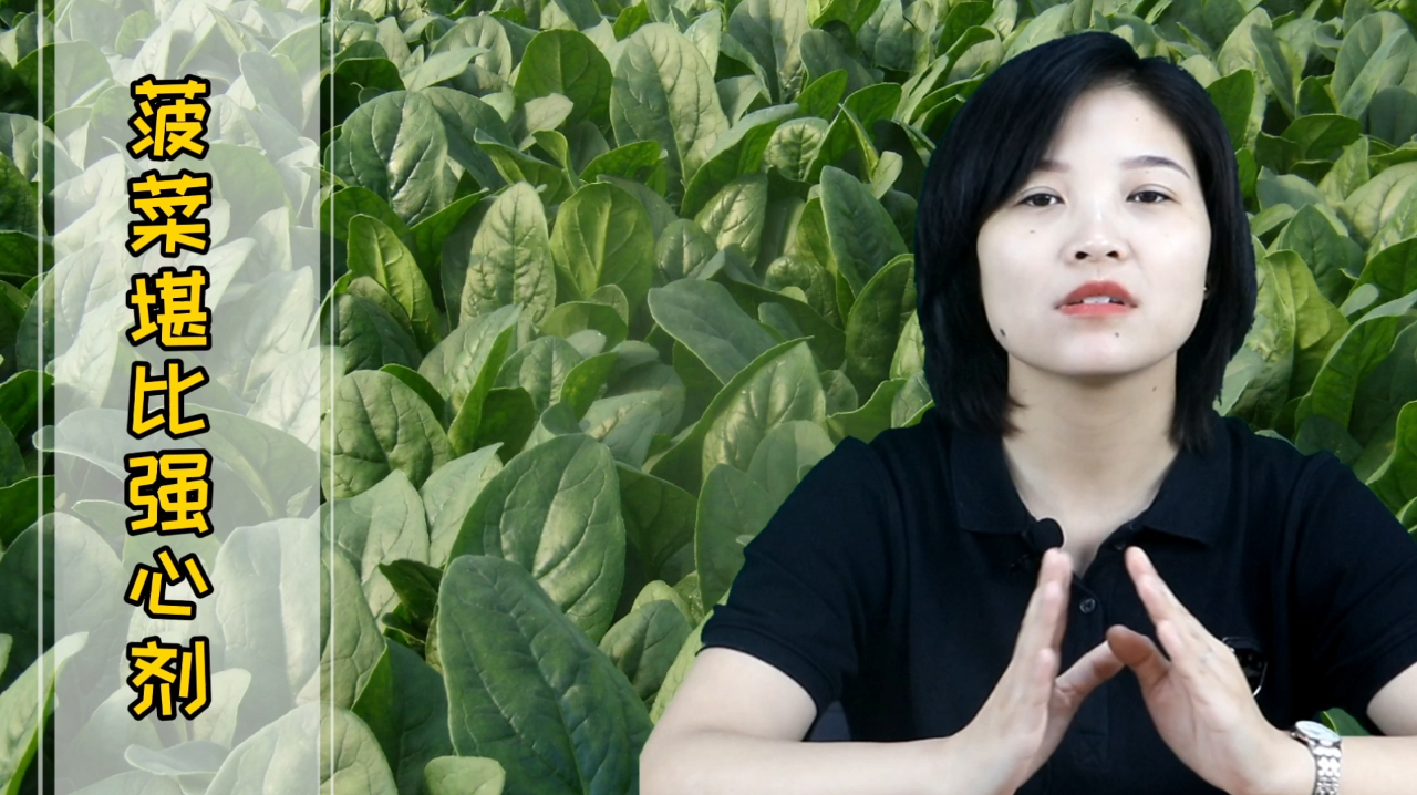 菠菜堪比强心剂,根茎叶各有好处,平时你吃对了吗?