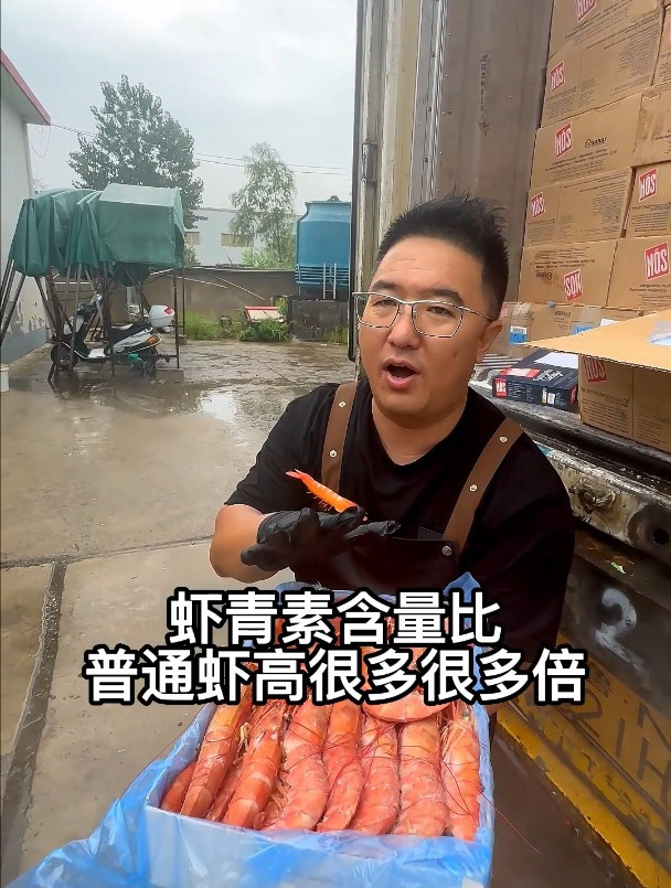 让我亏了几百万的虾又来了!南极圈船冻野生红虾