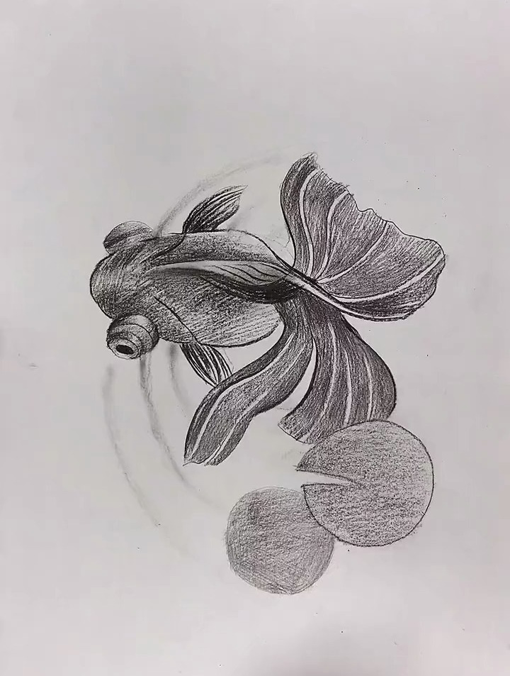 30秒轻松教你画小鱼