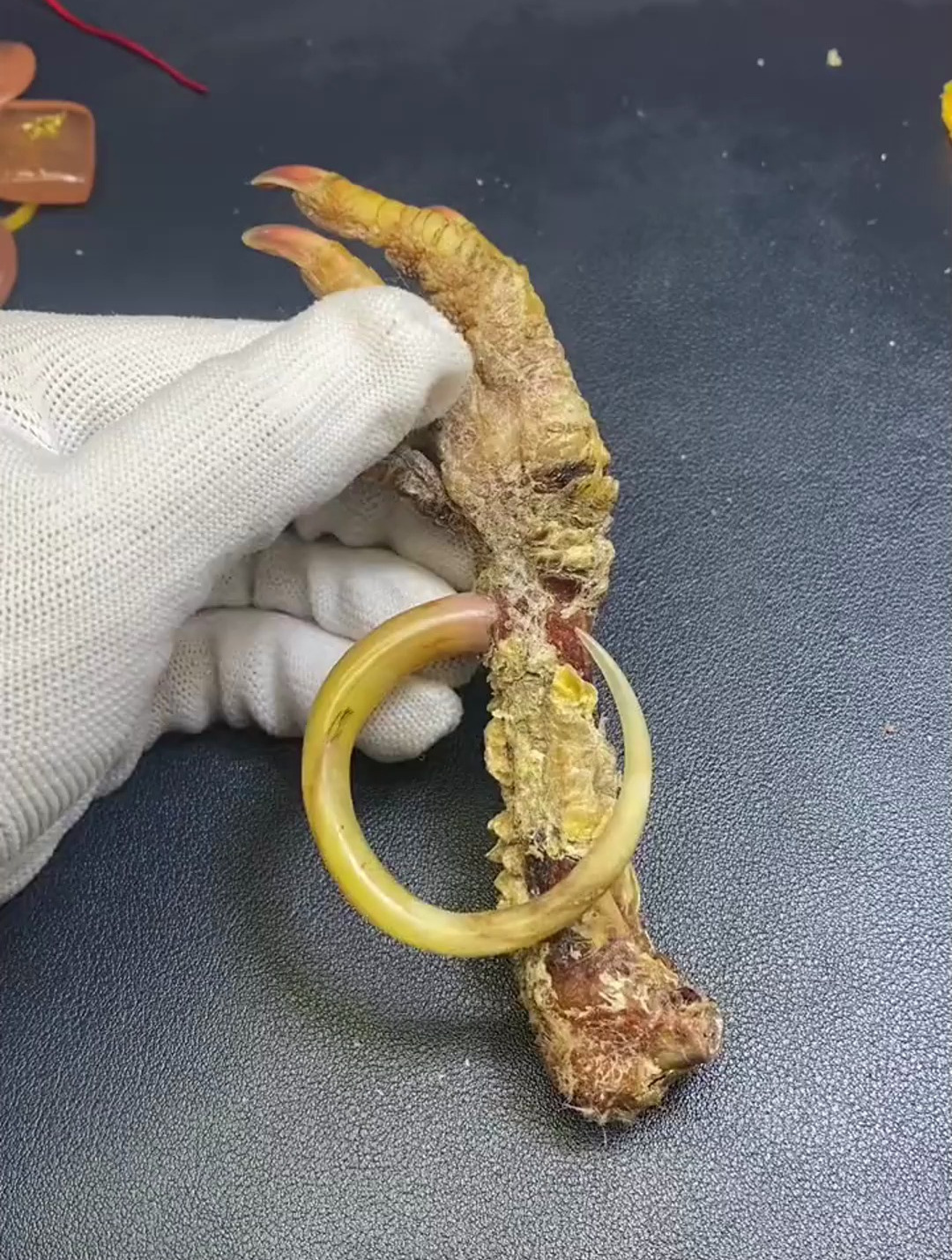 文玩鸡爪骨,好看吗?