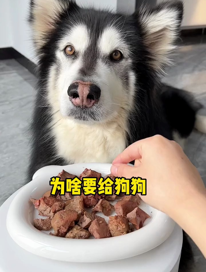 香香的蒸煮鸡肝,狗狗很喜欢吃,适当吃些鸡肝好处多多~