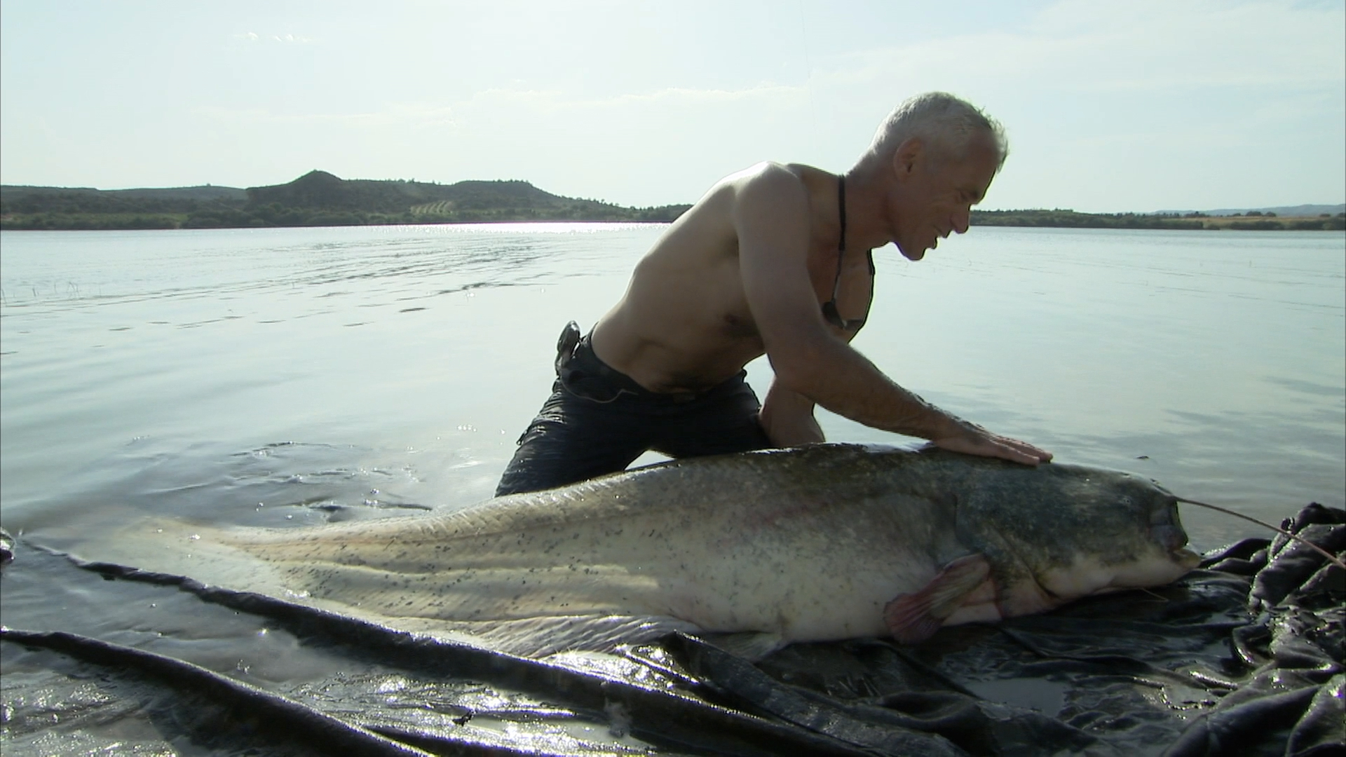 男子钓获捕食小孩的超级河怪欧洲巨鲶
