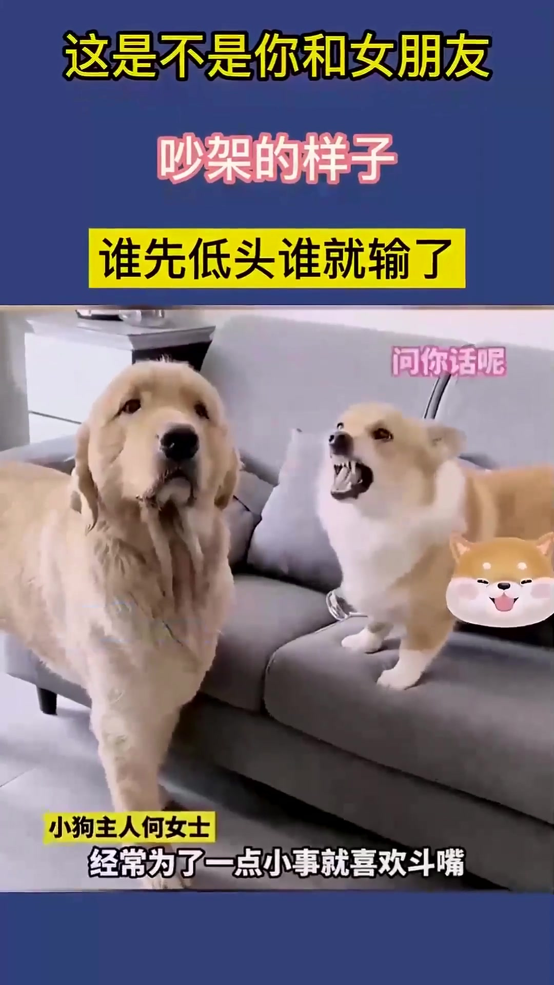 这是不是你和女朋友吵架的样子,谁先低头谁就输了