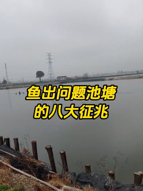 鱼出问题池塘的八大征兆