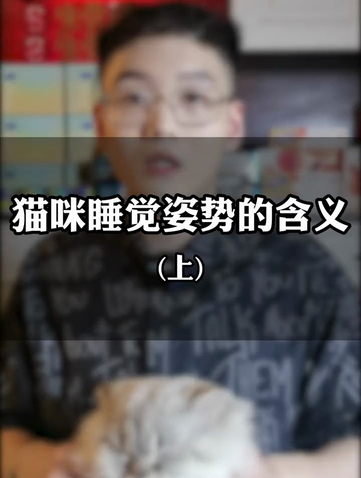 猫咪睡觉姿势,原来还有这么多的含义(上)