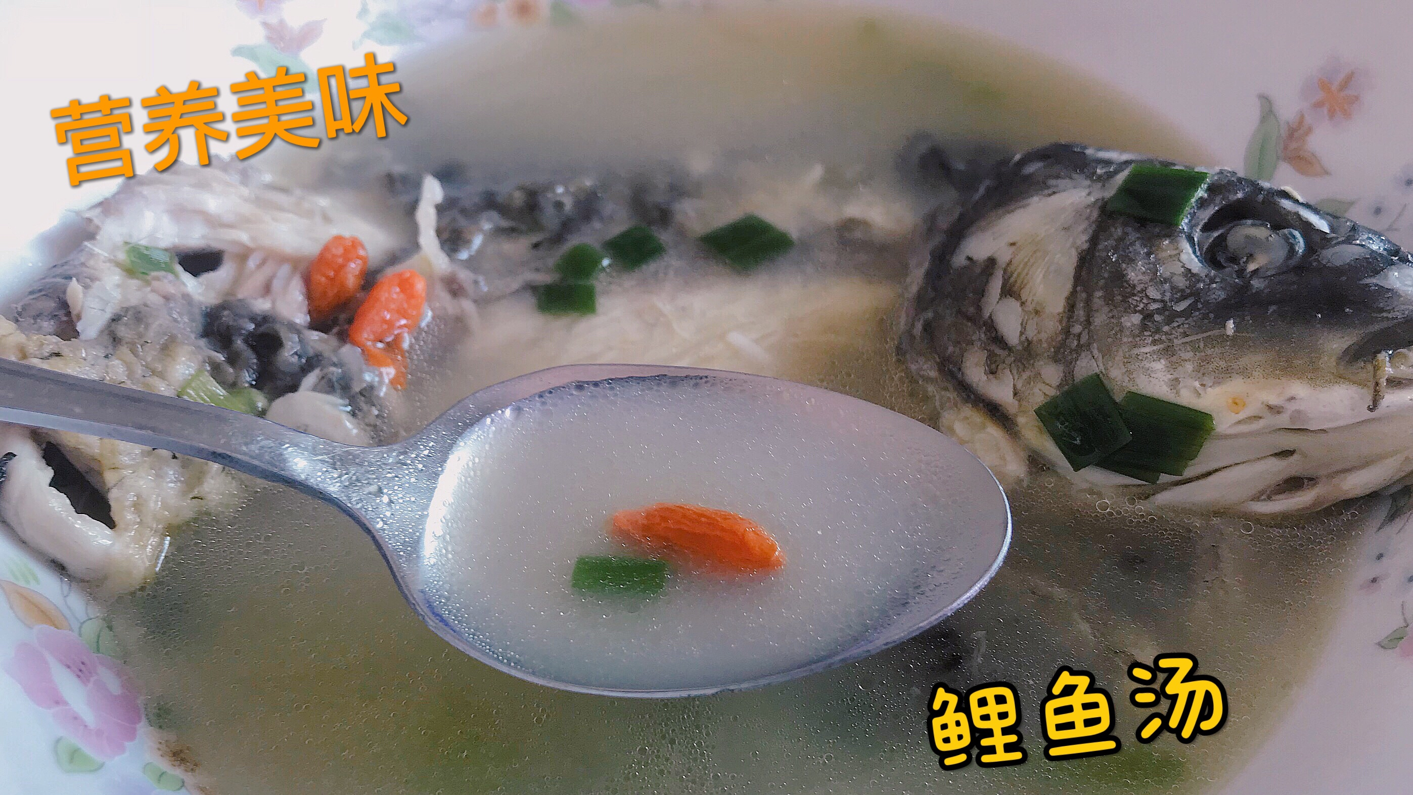 「家常菜No.28」鲤鱼汤,营养美味,好喝到停不下来呀~
