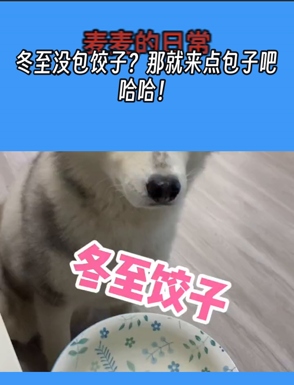 冬至没包饺子?那就来点包子吧,哈哈!