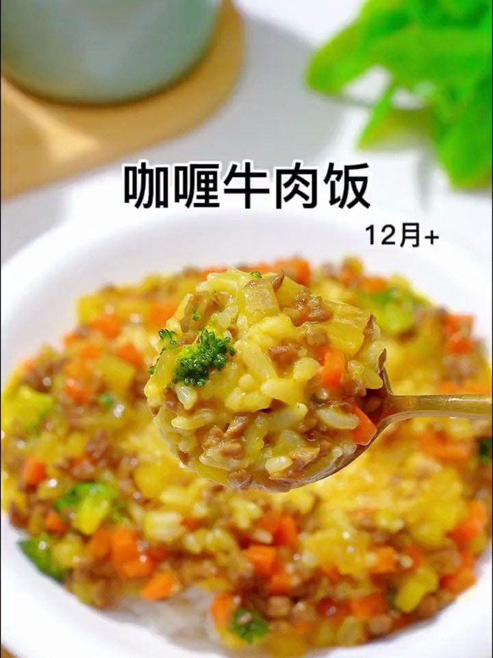 一岁以上宝宝就可以吃的牛肉咖喱饭